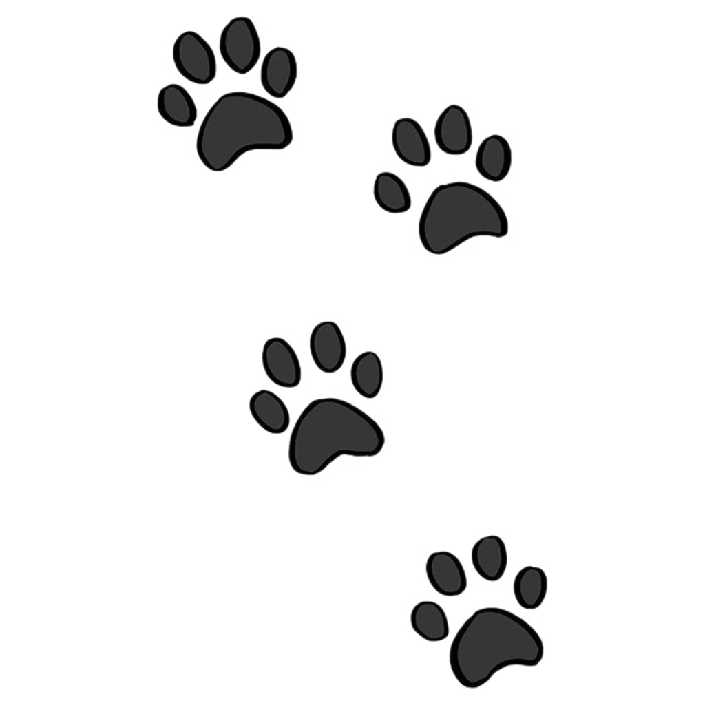 paw trail